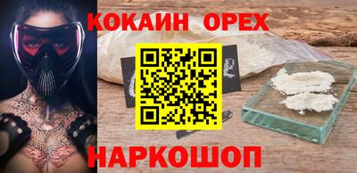 стафф Гатчина