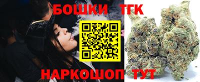 стафф Гатчина