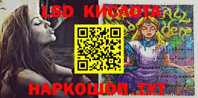 стафф Гатчина