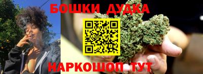 стафф Гатчина