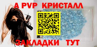 стафф Гатчина