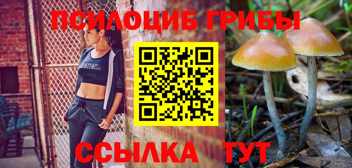 Галлюциногенные грибы Magic Shrooms Набережные Челны