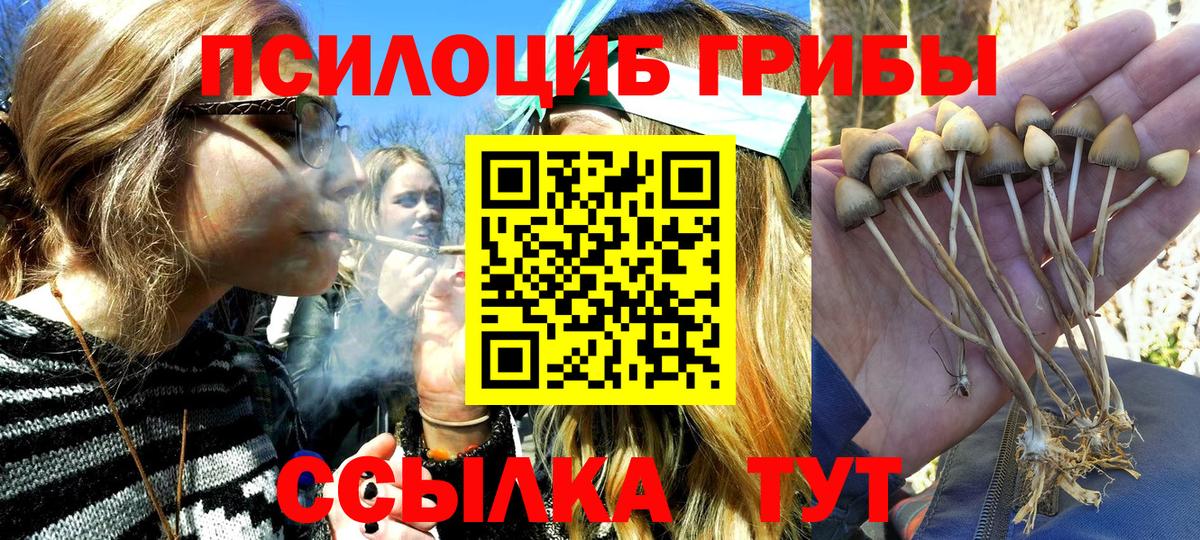 Набережные Челны  Псилоцибиновые грибы мухоморы  Вход с VPN 